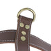 Sled Dog Leather Harness