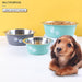 Non - slip Durable Rubber Bottom Food Water Pet Bowl