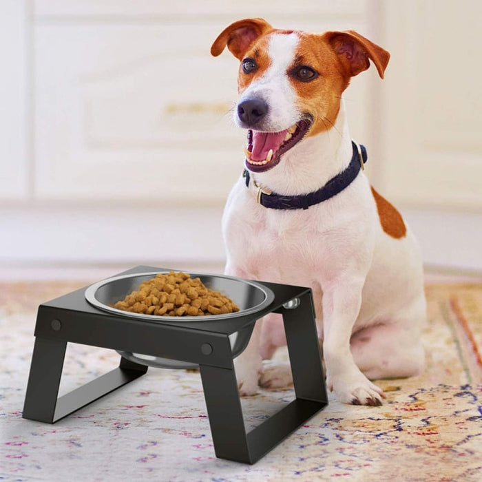 Non-slip Stainless Steel Food Water Pet Feeding Bowl