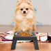 Non-slip Stainless Steel Food Water Pet Feeding Bowl