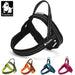 Soft Mesh Padded Nylon Dog Harness