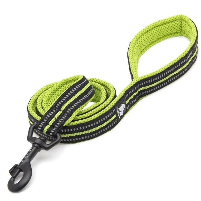 Soft Reflective Nylon Leash In Harness And Collar