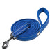 Soft Reflective Nylon Leash In Harness And Collar