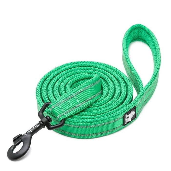 Soft Reflective Nylon Leash In Harness And Collar