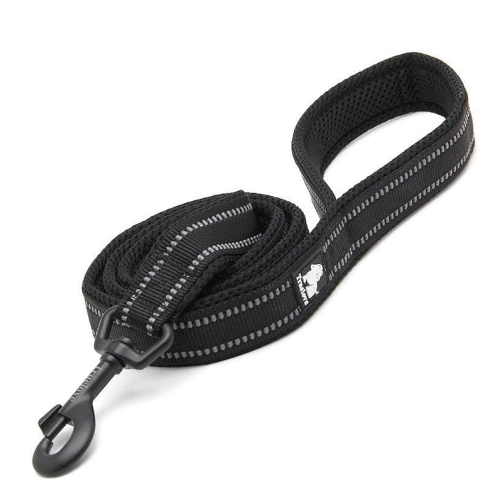 Soft Reflective Nylon Leash In Harness And Collar