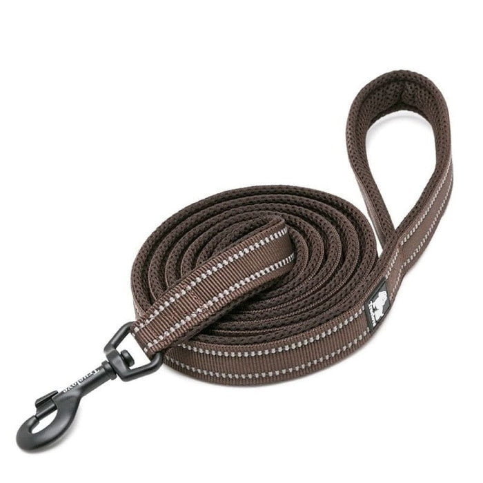 Soft Reflective Nylon Leash In Harness And Collar