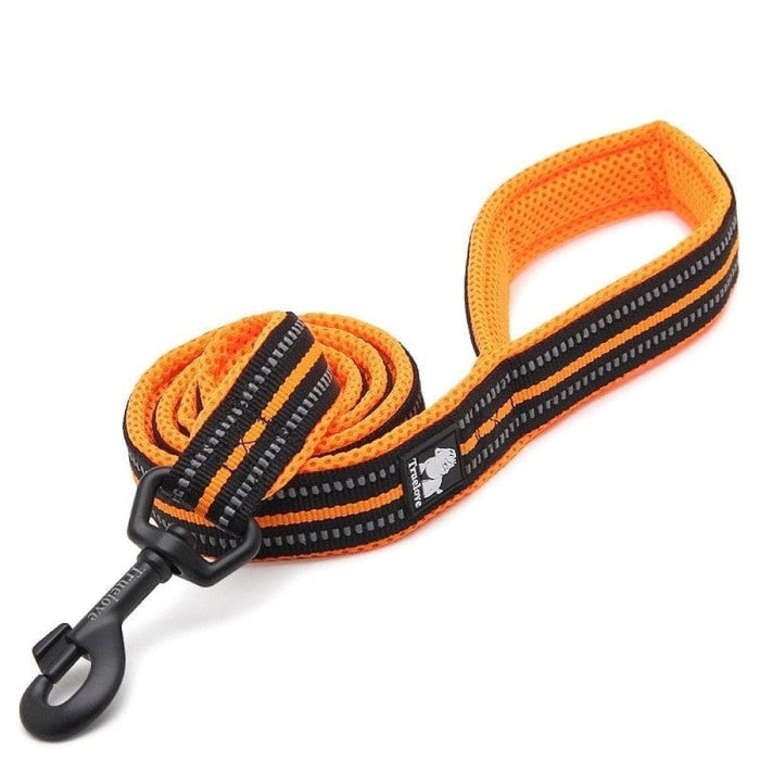 Soft Reflective Nylon Leash In Harness And Collar