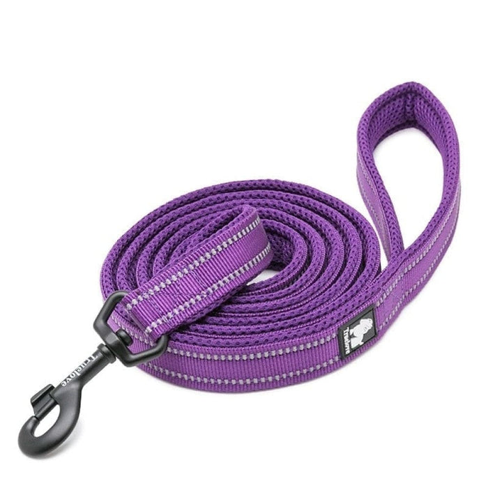 Soft Reflective Nylon Leash In Harness And Collar