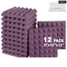 Soundproofing Foam Panels 12 Pcs Sound Treatment For Music