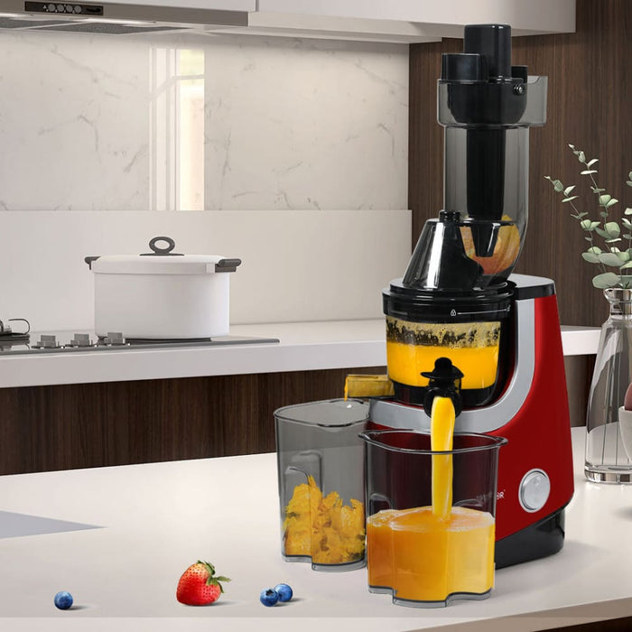 Goslash Picks Spector Cold Press Slow Juicer Whole Fruit