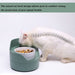 No Spill Anti Vomiting Food Water Bowls For Cat Small