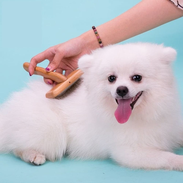 Square Head Curved Comb For Pets