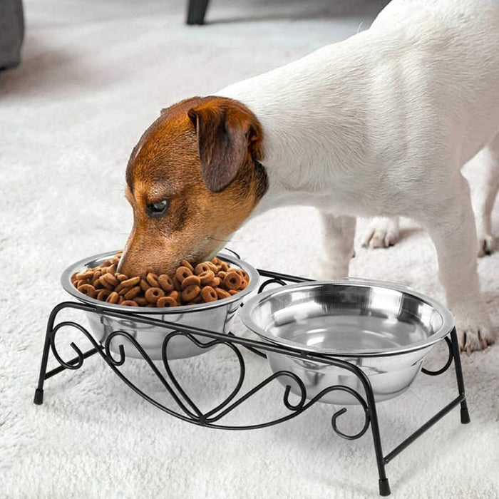 Stainless Steel Anti-skidelevated Pet Feeder Double Dog