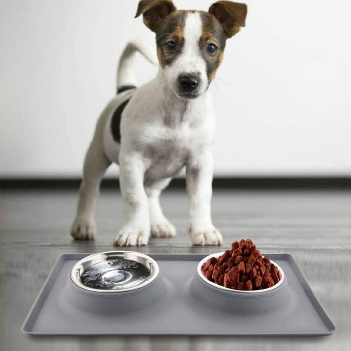 Stainless Steel Non-toxic Pet Water Food Double Bowl