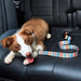 Strong Adjustable Durable Nylon Fabric Pet Printed Car Seat