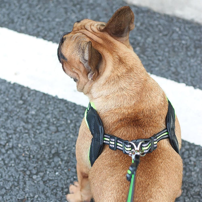 Strong And Durable Reflective Soft Mesh Padded Dog Harness