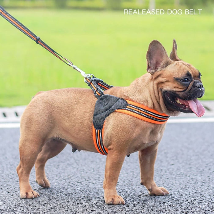 Strong And Durable Reflective Soft Mesh Padded Dog Harness