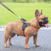 Strong And Durable Reflective Soft Mesh Padded Dog Harness