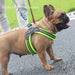 Strong And Durable Reflective Soft Mesh Padded Dog Harness