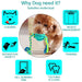 Strong Eco-friendly Treat Dispensing Teeth Cleaning Dog