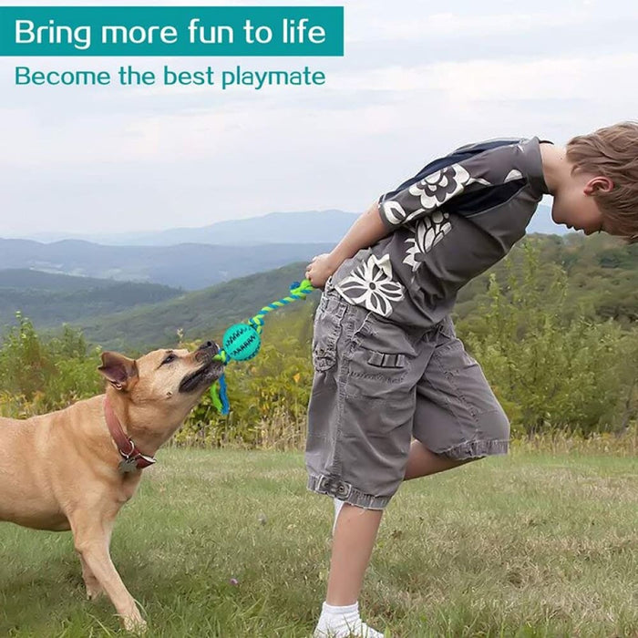 Strong Eco-friendly Treat Dispensing Teeth Cleaning Dog