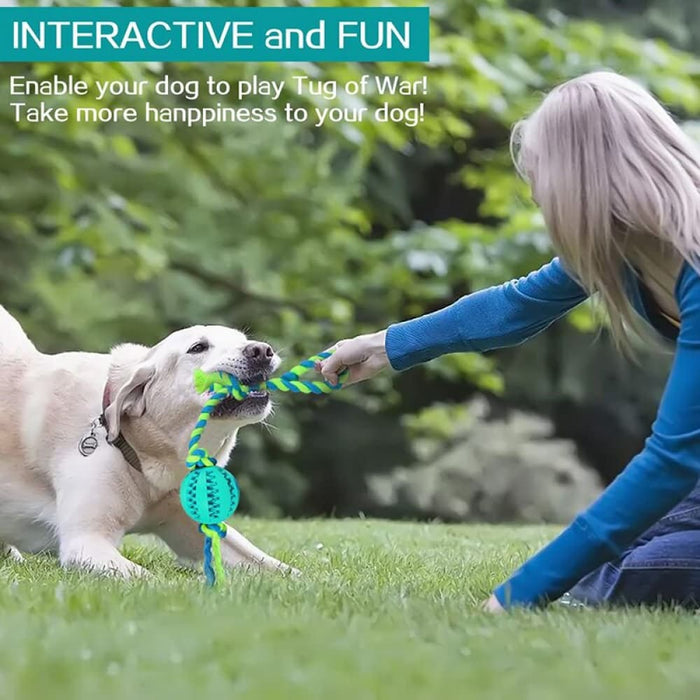 Strong Eco-friendly Treat Dispensing Teeth Cleaning Dog