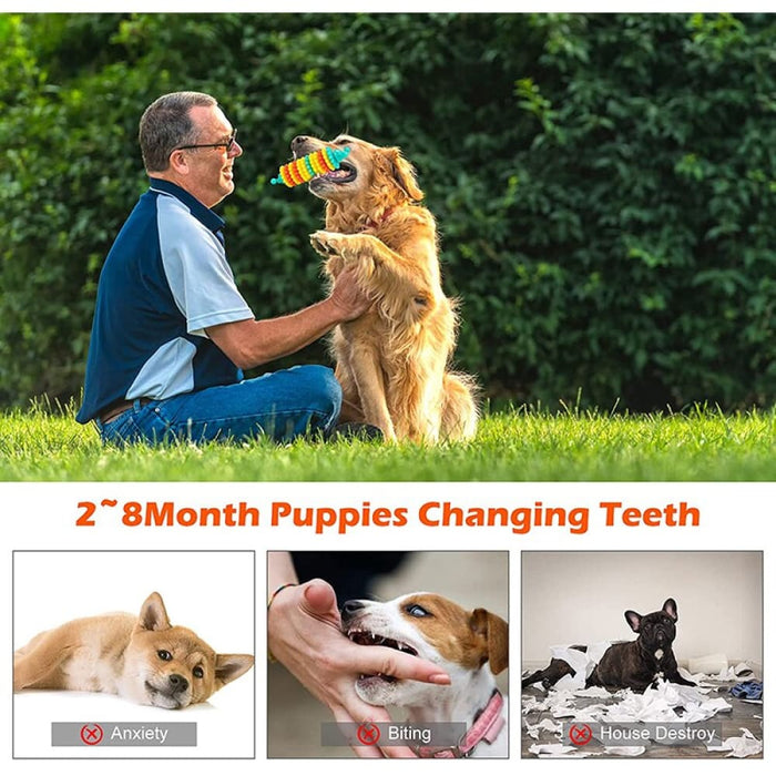 Strong Long-lasting Non-toxic Teething Dog Chew Toy