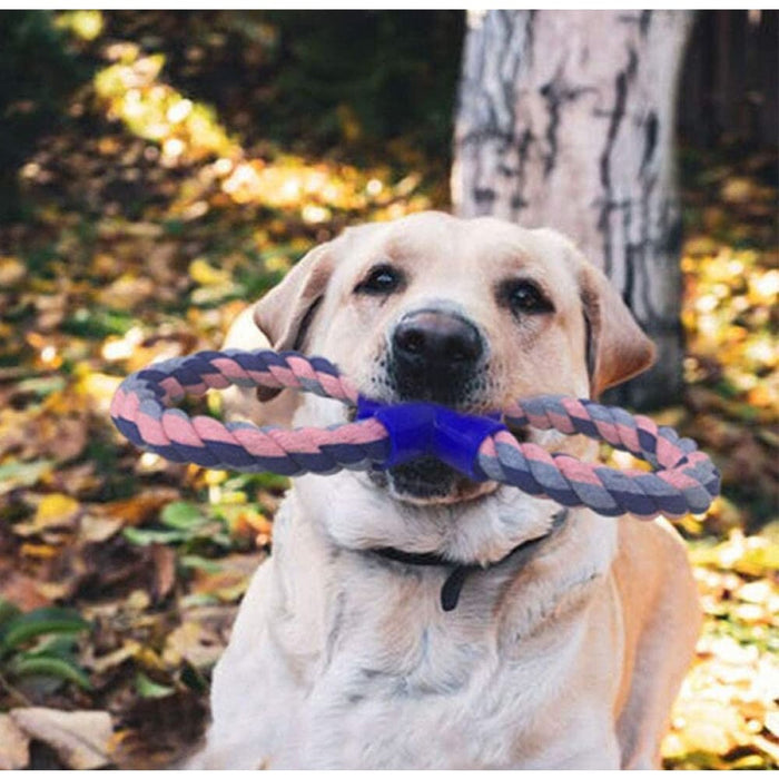 Strong Non-toxic Natural Cotton 8 Shaped Dog Rope Chew Toys