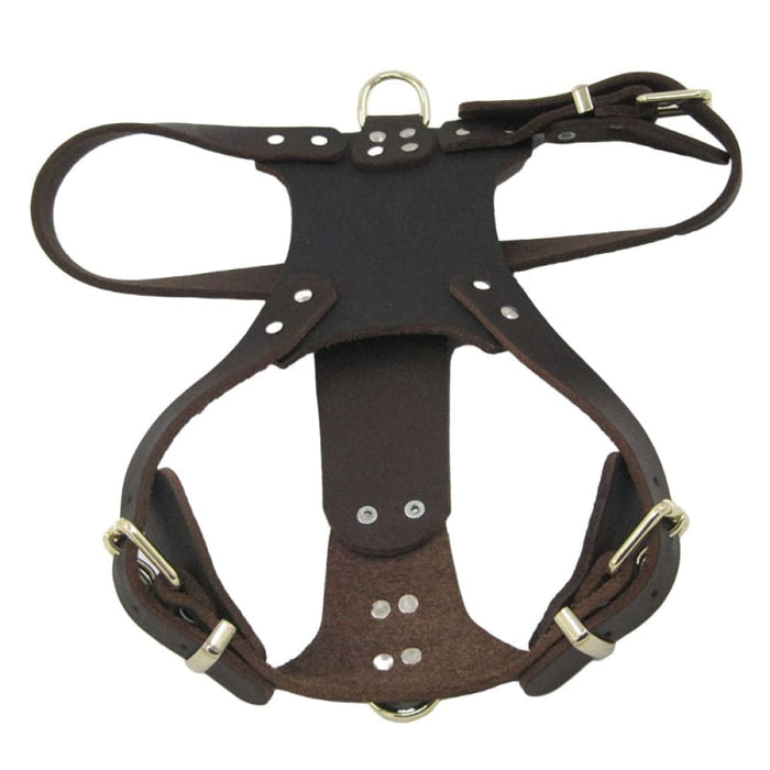 Studd Design Leather Dog Harness