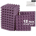 Studio Acoustic Foam Soundproofing Phonoabsorbing Panels 12