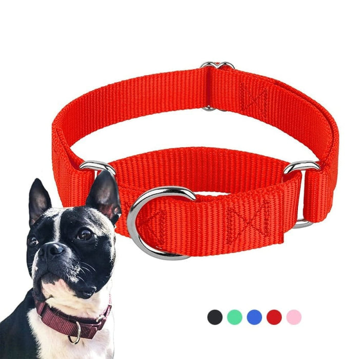 Sturdy Martingale Nylon Adjustable Soft Comfortable Pet