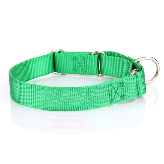 Sturdy Martingale Nylon Adjustable Soft Comfortable Pet