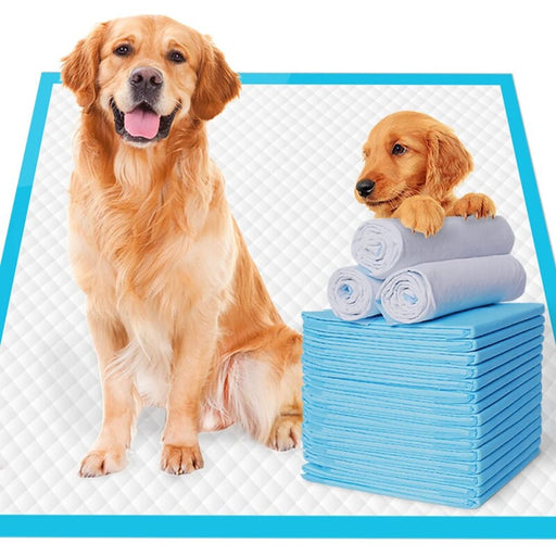 Super Absorbent Thickened Leak-proof Quick Drying Dog Pee