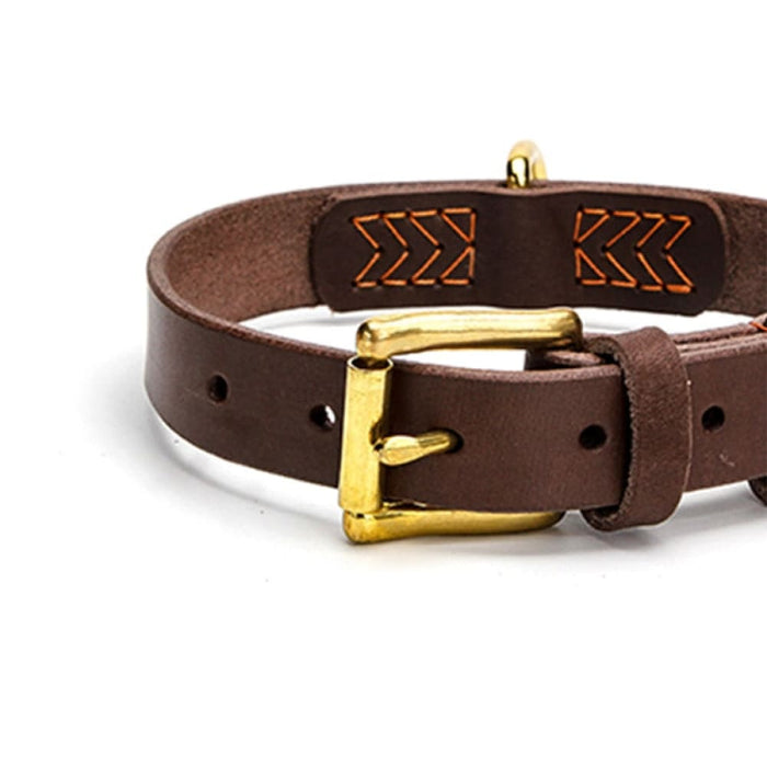 Suture Real Leather Adjustable Dog Collar