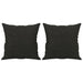 Throw Pillows 2 Pcs Black 40x40 Cm Fabric Takaip