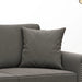 Throw Pillows 2 Pcs Dark Grey 40x40 Cm Velvet Takanl