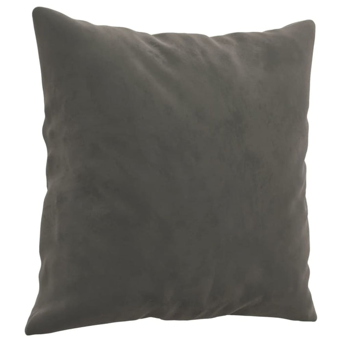 Throw Pillows 2 Pcs Dark Grey 40x40 Cm Velvet Takanl