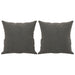 Throw Pillows 2 Pcs Dark Grey 40x40 Cm Velvet Takanl