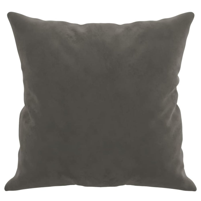 Throw Pillows 2 Pcs Dark Grey 40x40 Cm Velvet Takanl