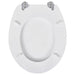 Wc Toilet Seat Mdf Lid Simple Design White Oabnbo