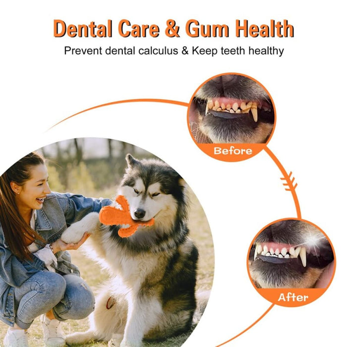 Tough Non-toxic Rubber Teeth Cleaning Squeaky Puzzle Chew