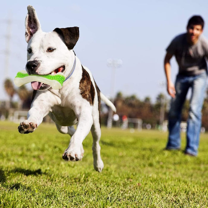 Non-toxic Bite Resistant Bacon Flavour Dog Chew Bone Toy