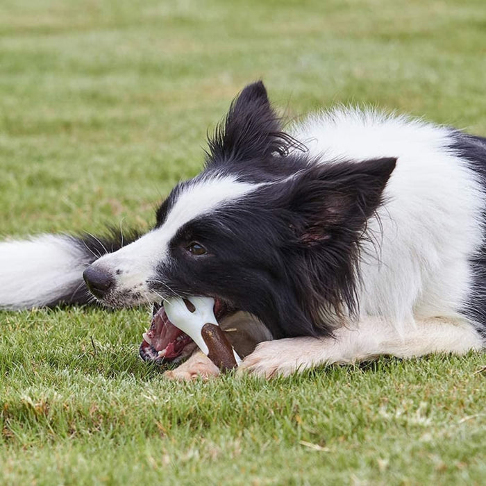 Non-toxic Durable Bacon Flavored Dog Bone Edible Treat