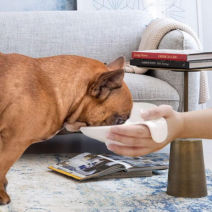 Non-toxic Hand-supported Food Water Pet Feeder For Small