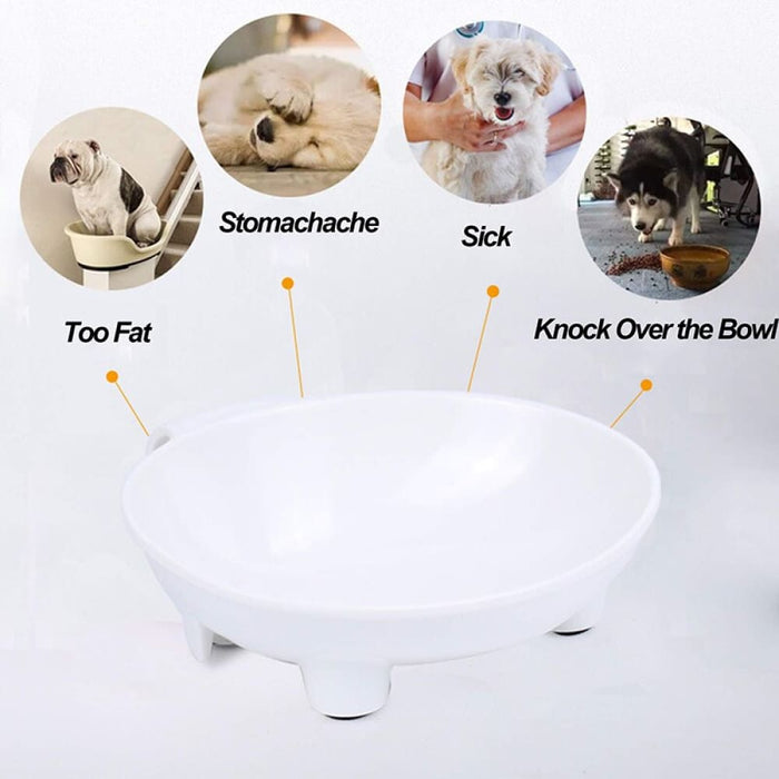 Non-toxic Hand-supported Food Water Pet Feeder For Small