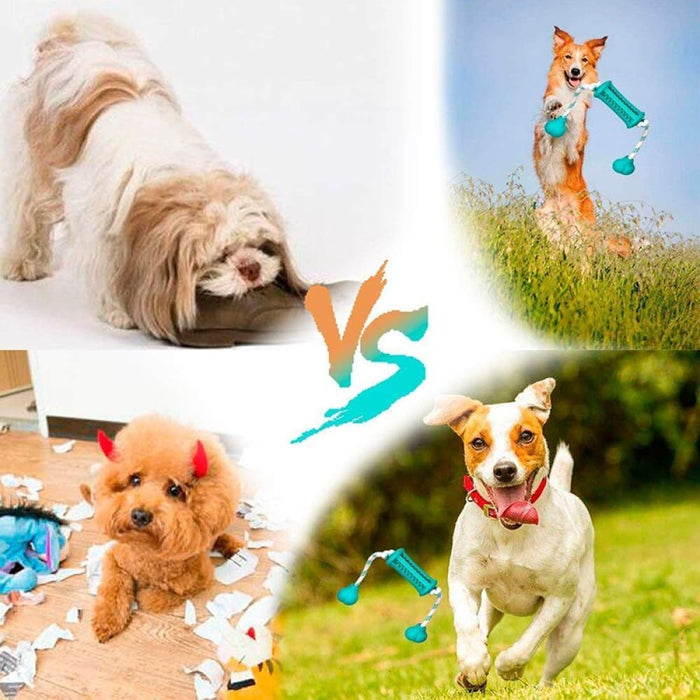 Non-toxic Washable Rubber Teeth Cleaning Dog Chew Rope Toys