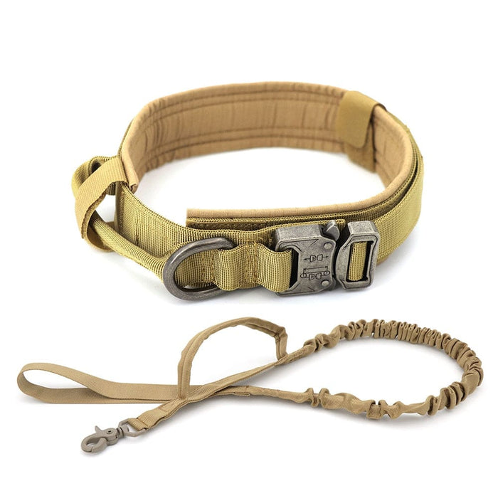 Dog Training Collar Adjustable Tactical And Leash Set