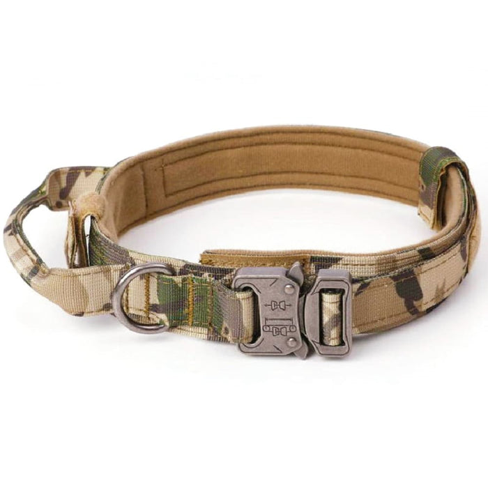 Dog Training Collar Adjustable Tactical And Leash Set