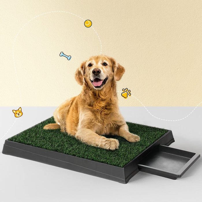 Pet Training Pad Dog Potty Toilet Large Portable With Tray