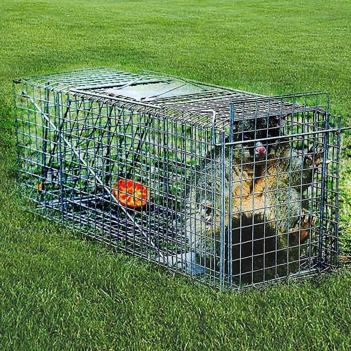 Trap Humane Possum Cage Live Animal Safe Catch Rabbit Cat